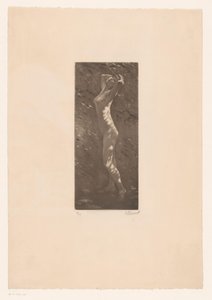 Donna nuda alla luce del sole da Ellinnot (signed by artist)