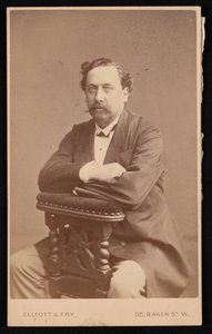 Ritratto di David Forbes 1828-1876, 1874 da Elliott and Fry