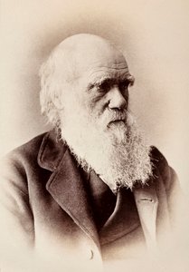 Charles Darwin: naturalista inglese