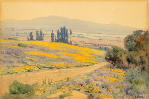 Paesaggio primaverile della California