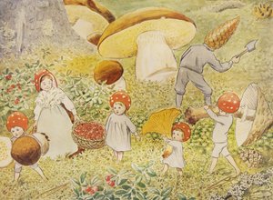 I bambini di Tomtebo: Mushroom Kids