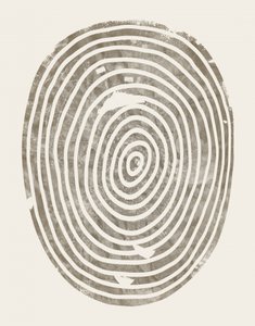 Abstract: Gli anelli degli alberi