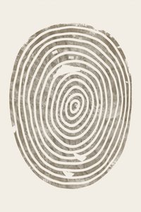 Anelli concentrici di legno