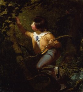 Nidificazione degli uccelli