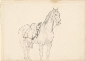 Cavallo da Emanuel Gottlieb Leutze