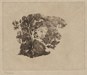 Studio di un albero da Emil Carlsen