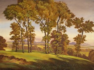 Paesaggio con alberi da Emil Ernst Heinsdorff