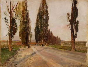 Viale di pioppi vicino a Plankenberg, c. 1890 da Emil Jakob Schindler