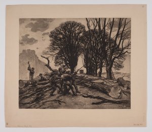 Danese: Gli alberi vengono abbattuti sul bastione