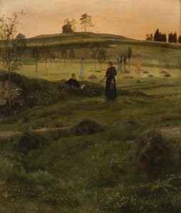 Campo da croquet da Emil Lugo