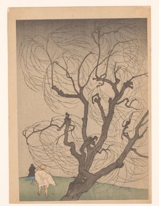 Albero nel vento