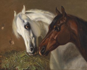 Due teste di cavallo