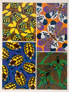 Design con motivo di insetti da Émile Allain Séguy
