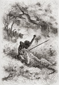 Un leopardo che attacca un africano, illustrazione da 