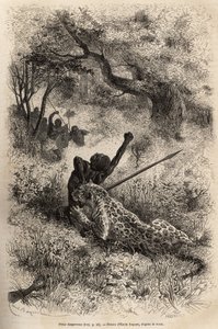 Un leopardo salta su un uomo e lo morde crudelmente sulla schiena, nei pressi di Bambare (Congo), incisione dopo un disegno di Emile Bayard, illustrando l