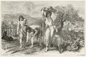 La coltivazione dei giardini all
