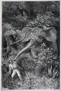 Livingstone sorpreso da un elefante, in "Le Tour du Monde" da Emile Antoine Bayard