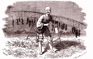 Cacciatore di ratti in Cina. 1874 (incisione)