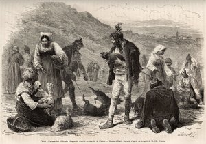 I contadini nei dintorni di Pisino (Croazia), si riuniscono per la vendita dei loro prodotti agricoli al mercato: pollame, maialini..., incisione da un disegno di Emile Bayard illustrante il viaggio in Istria e Dalmazia, nel 1874, di Charles Yriarte, pubbl