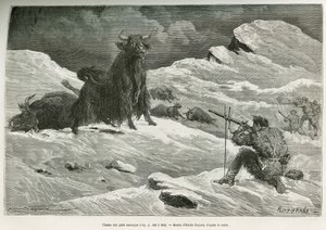 Scena di caccia allo yak selvatico, disegno di Emile Bayard per illustrare il viaggio in Mongolia e nella terra dei Tanguti dal 1870 al 1873, del tenente colonnello Prjewalski. Incisione in Le tour du monde da Emile Antoine Bayard