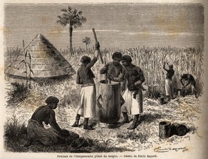 Donne che pestano il sorgo, nell