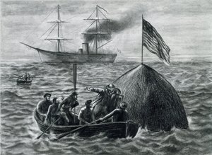 illustrazione per il romanzo 