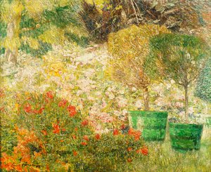 Un Angolo del Mio Giardino