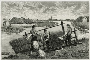 La ruggine del lino (macerazione per facilitare la separazione della corteccia dallo stelo) nella Lys (fiume nord della Francia e Belgio). Incisione di Emile Claus, per illustrare la storia “La Belgique”, di Camille Lemonnier, scrittore e critico d