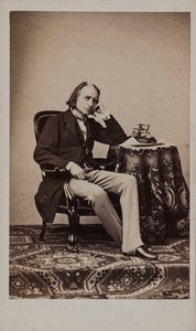 Ritratto del compositore Franz Liszt 1811-1886 da Emile Desmaisons
