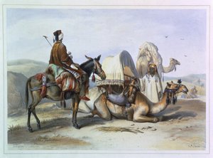 Kafila con un Cammello che Porta un Hodesh, illustrazione da 