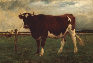 Studio di una mucca, 1870-90 da Emile van Marcke de Lummen