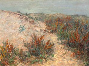 Dune con spino marino a Knokke