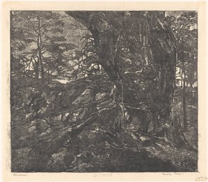 Alberi su una duna tra Egmond e Bergen