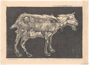 Capra da Emilius Wilhelmus Dehé (signed by artist)