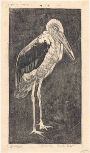 Marabù