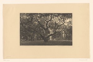 Vecchio albero da Emilius Wilhelmus Dehé (signed by artist)
