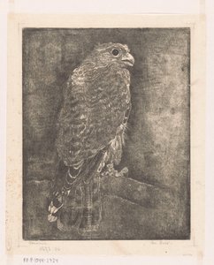 Falco su un ramo da Emilius Wilhelmus Dehé (signed by artist)