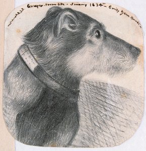 Grasper, dal vivo da Emily Bronte