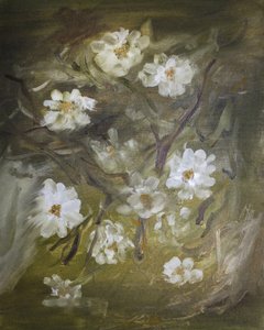 Morbidi fiori bianchi