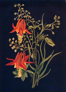Colombina, c. 1915