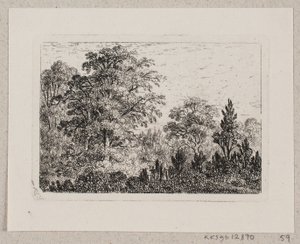 Paesaggio boschivo da Emma Meyer