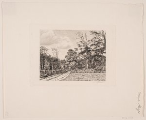 Paesaggio forestale