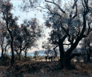 Ulivi intorno a Cap Martin da Emmanuel Lansyer