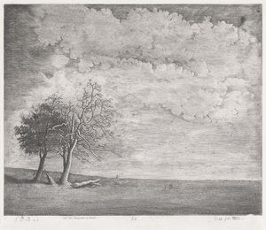 Una brughiera da Emmanuel Phélippes Beaulieu