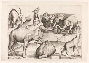 Otto animali da Enea Vico (attributed to)