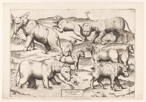 Nove animali da Enea Vico (attributed to)