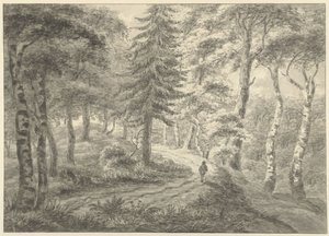 Veduta del bosco da Engelbert Michaël Engelberts