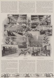 Una lezione oggettiva britannica