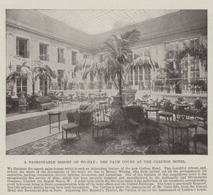 Una Località alla Moda di Oggi, la Palm Court al Carlton Hotel da English Photographer