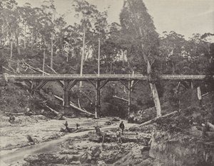 Una rivendicazione mineraria, vicino a Daylesford, Victoria da English Photographer